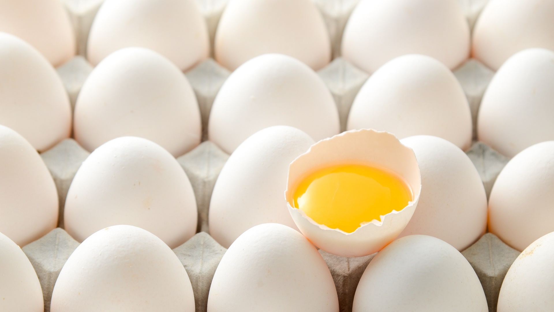 Kaç Tane Yumurta Yemeli? Yumurtanın Besin Değeri Nedir?